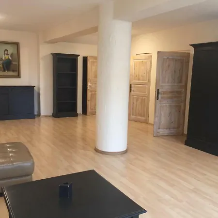 Big House Apartment Teplice